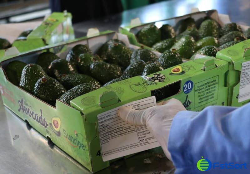 images/1662366479780avocado washing sorting machine.jpg